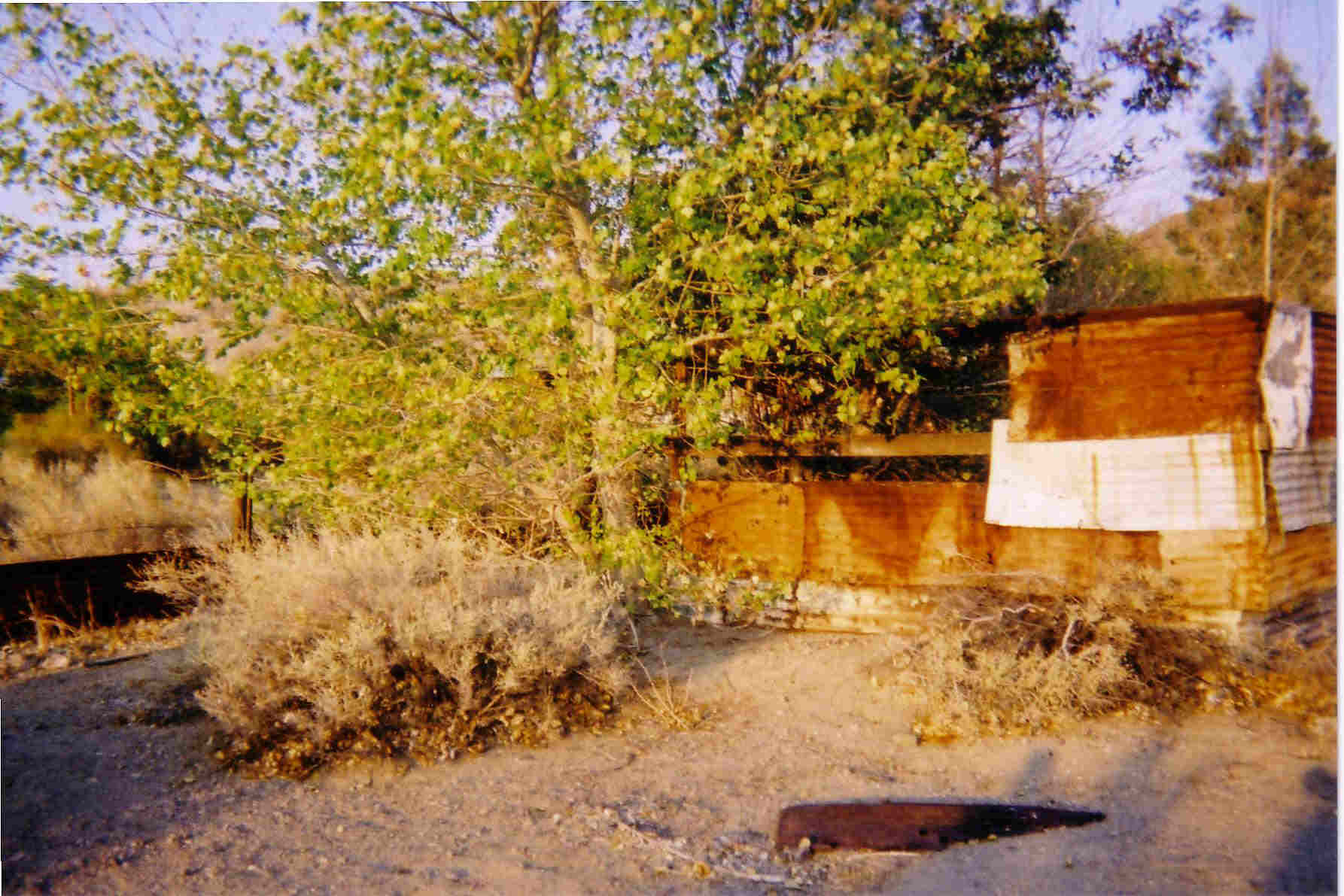 barker22.JPG (384868 bytes)